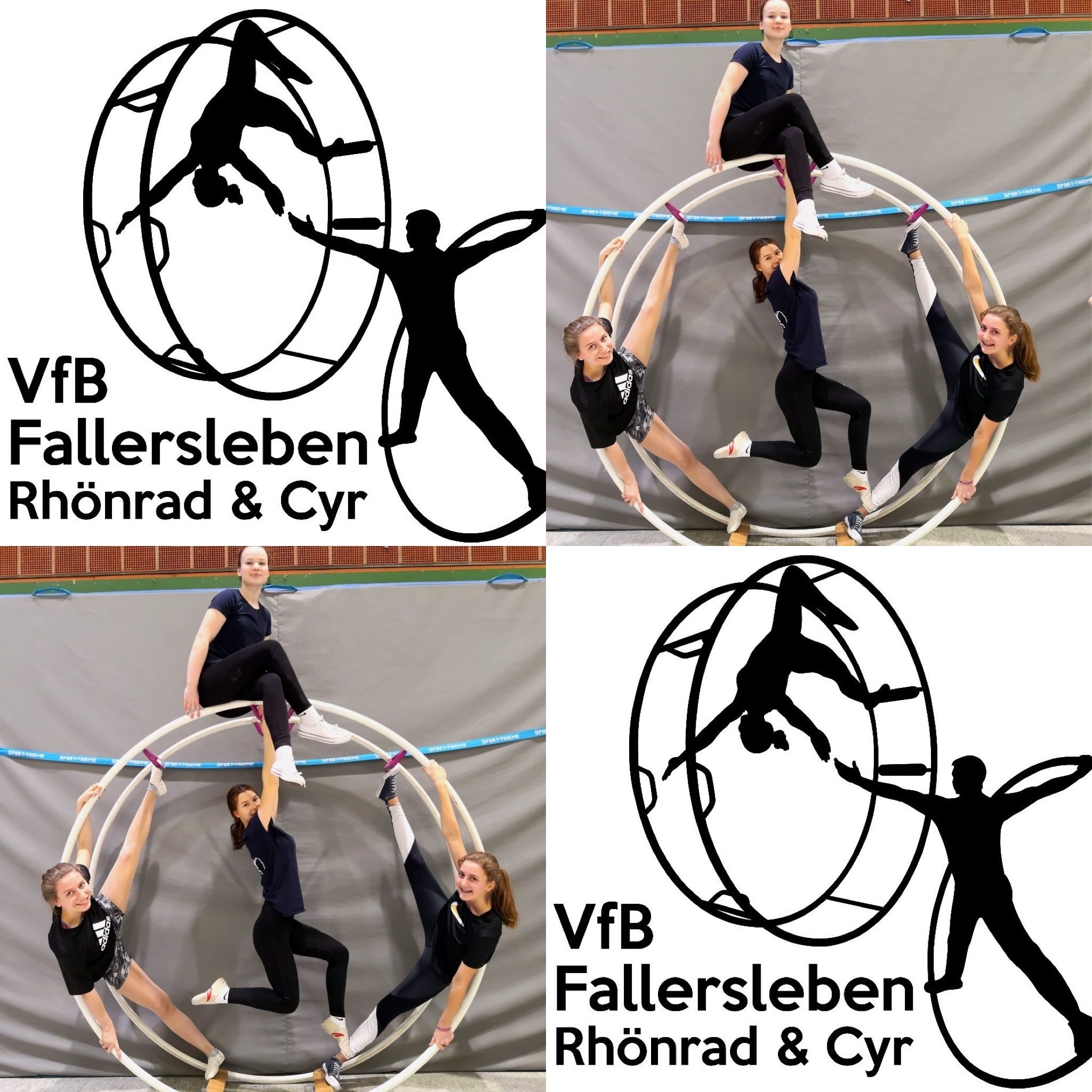 Vfb1